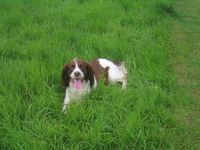 click for a larger view